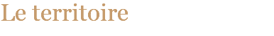 ﷯